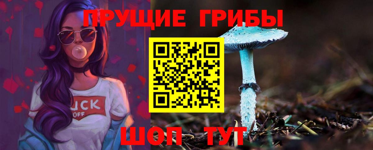Галлюциногенные грибы Psilocybine cubensis  Псилоцибиновые грибы ЛСД  Армавир  Вход с VPN 