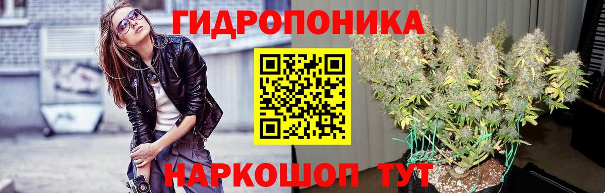Марихуана сатива  Канабис White Widow  Бошки Шишки AK-47  Армавир  Вход с VPN 